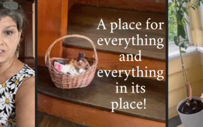 A Place for Everything and Everything in its Place