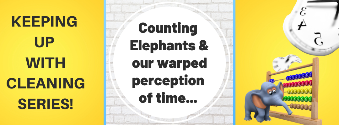Time can be on Your Side: Embrace Counting Elephants Method