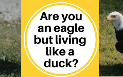 When the System Doesn’t Fit Who You Are